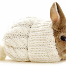 Схема вышивки «Зайка в шапке»