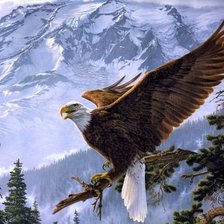 Схема вышивки «Полет орла»