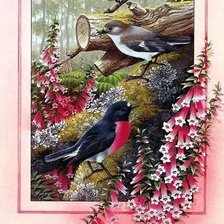 Схема вышивки «Две птички»