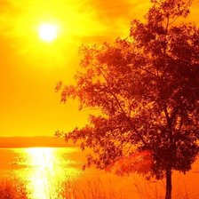 Схема вышивки «Серия "Осень" Одинокое дерево»