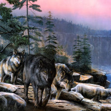 Схема вышивки «Три волка»