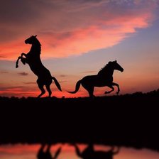 Схема вышивки «Лошади на закате»