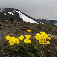 Схема вышивки «Пейзаж»