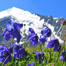 Схема вышивки «Пейзаж»