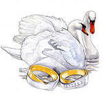 Схема вышивки «лебеди»