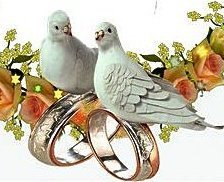 Схема вышивки «голуби»