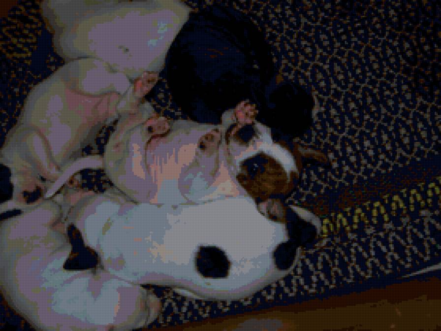 малыши - предпросмотр