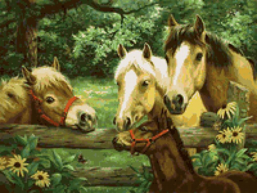 молчаливая беседа - лошади - предпросмотр