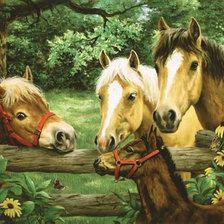 Схема вышивки «молчаливая беседа»