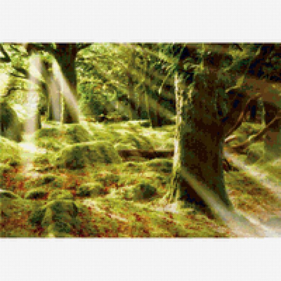 лесные лучи - пейзаж - предпросмотр