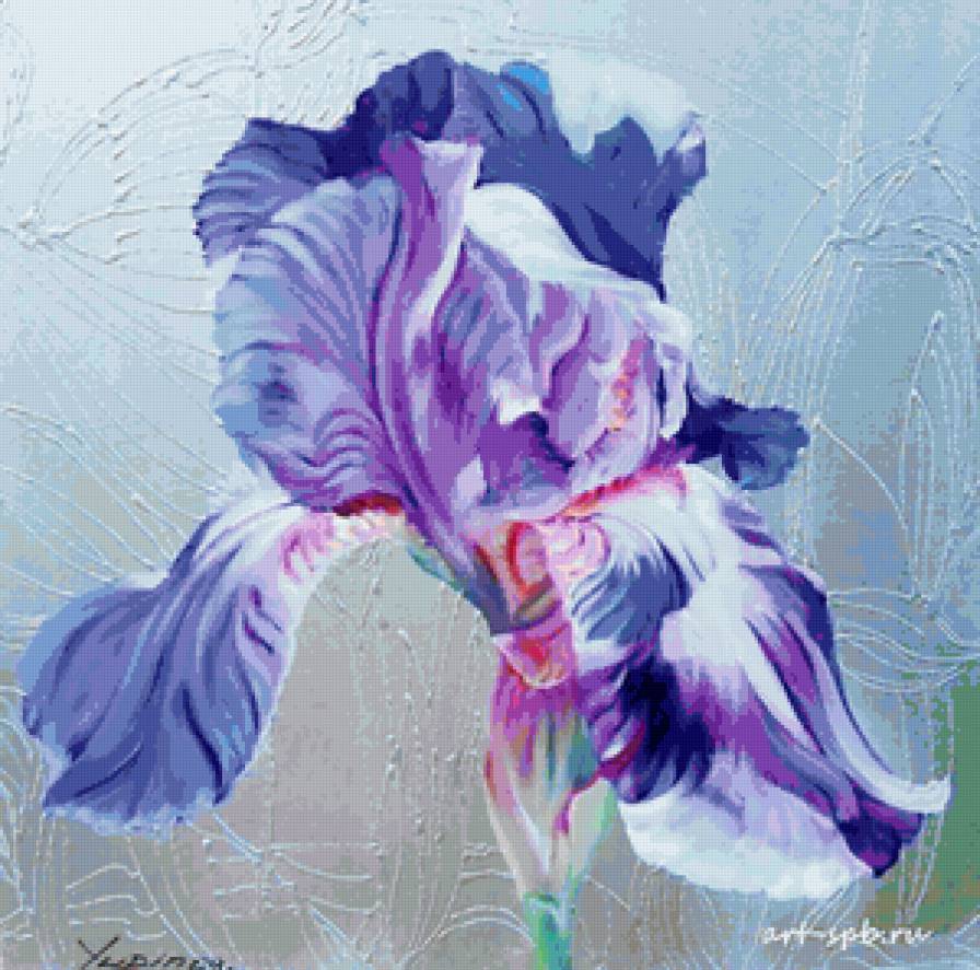 Ирис (DMC) 300х297 - предпросмотр