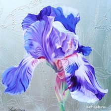 Схема вышивки «Ирис (DMC) 300х297»