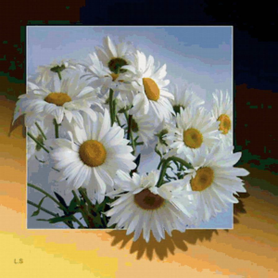 Ромашки - предпросмотр