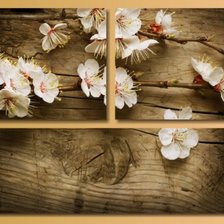 вишневый цвет