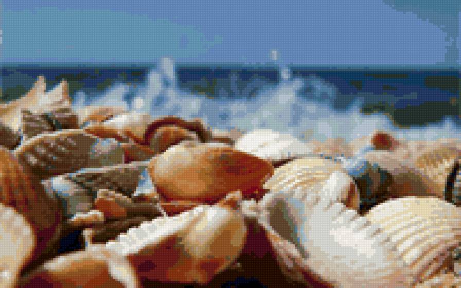 Море...Ракушки - предпросмотр