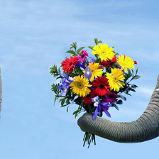 букетик любимой