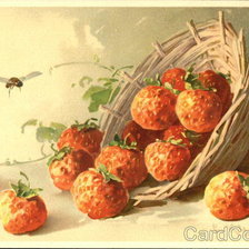 Схема вышивки «№141320»