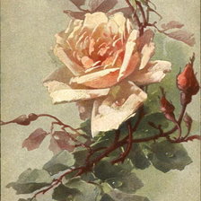 Схема вышивки «№141349»