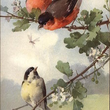 Схема вышивки «№141366»