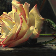 Схема вышивки «роза»