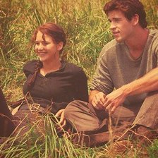 Схема вышивки «The Hunger Games»