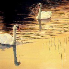 Схема вышивки «Лебеди»