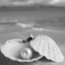 Схема вышивки «ракушка»