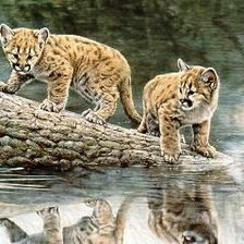 Схема вышивки «№141996»