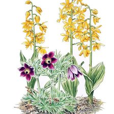 Схема вышивки «№142048»