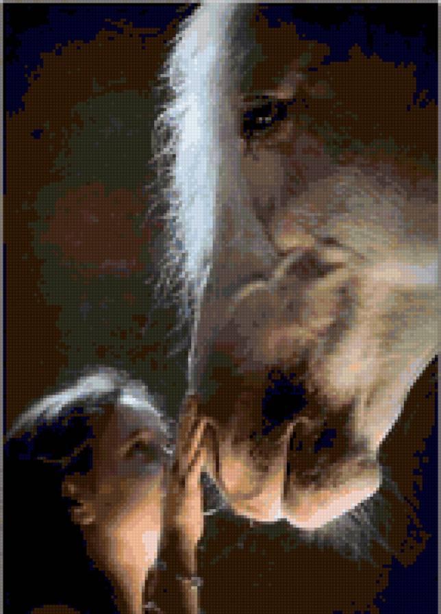 девочка и лошадь - девочка, дети, лошади - предпросмотр