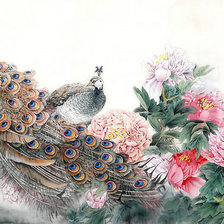 Схема вышивки «ПАВЛИН»