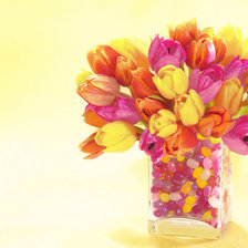 Схема вышивки «тюльпаны»