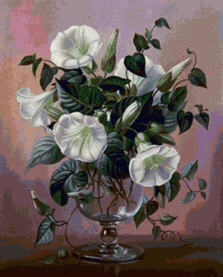 Вьюнок - цветы, вьюнок, живопись, картина, ваза, натюрморт - предпросмотр