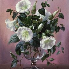 Схема вышивки «Вьюнок»