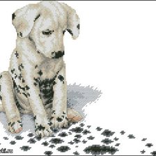 Схема вышивки «долматинец»