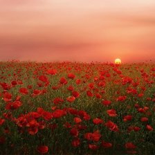 Схема вышивки «Закат»