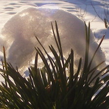 Схема вышивки «ветка сосны»