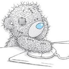 Тедди за компьютером