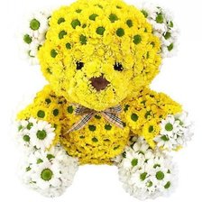 Схема вышивки «мишка в ромашках»