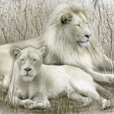 Схема вышивки «№142694»