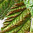Предпросмотр схемы вышивки «№142750»