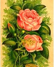 Схема вышивки «№142751»