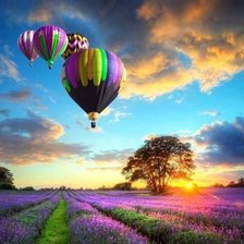 Схема вышивки «Лавандовые поля Прованса»