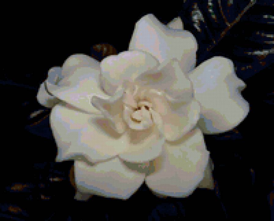 №142805 - предпросмотр