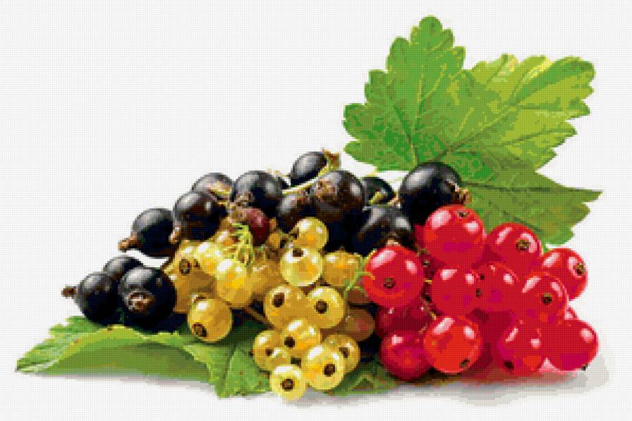 Смородина - предпросмотр