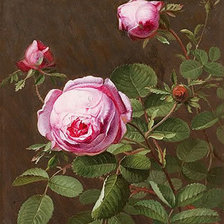 Схема вышивки «№142904»