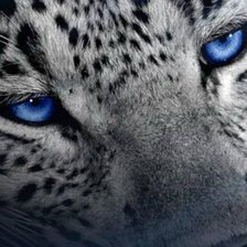 Схема вышивки «№142913»