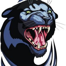 Схема вышивки «пантера»