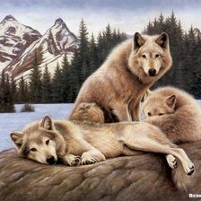 Схема вышивки «* * *»