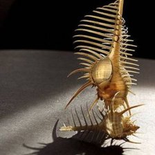 Схема вышивки «Ракушка»